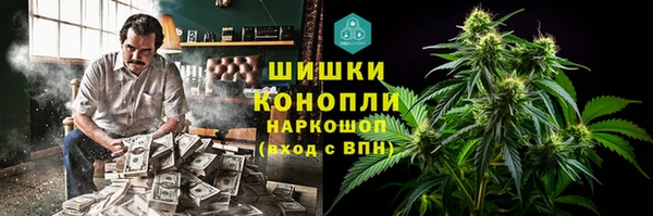 ГАЛЛЮЦИНОГЕННЫЕ ГРИБЫ Осташков