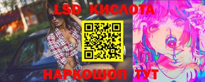СК Канаш