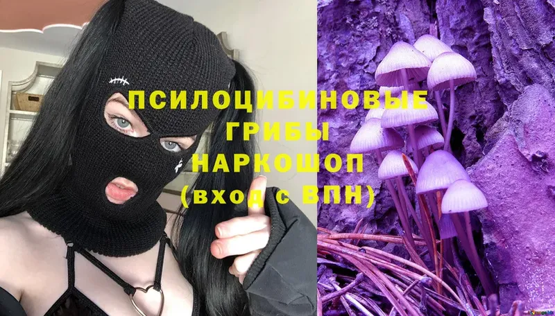 omg сайт  цены наркотик  Унеча  Галлюциногенные грибы MAGIC MUSHROOMS 