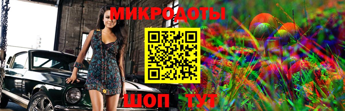 Унеча  Галлюциногенные грибы Cubensis  Вход с VPN 