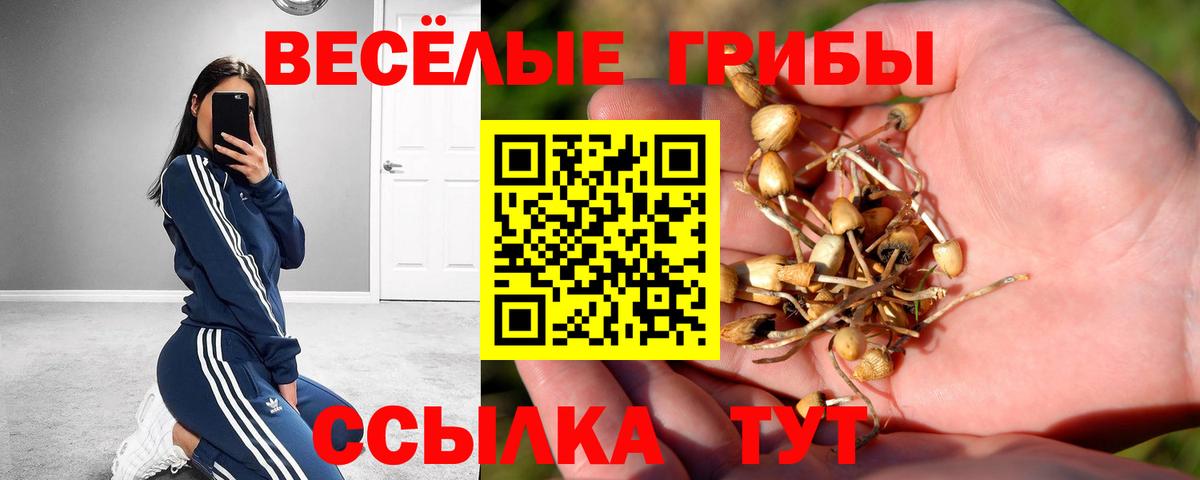 Галлюциногенные грибы GOLDEN TEACHER Унеча